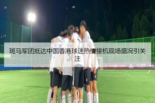斑马军团抵达中国香港球迷热情接机现场盛况引关注